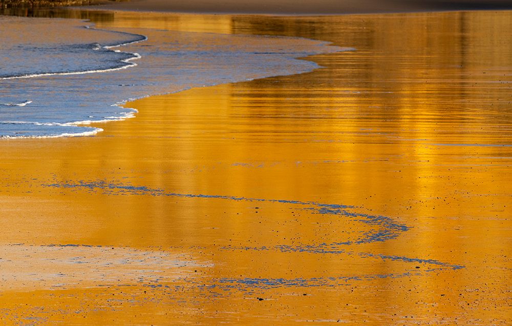 Reflective wet sand at sunrise-Cape Kiwanda in Pacific City-Oregon-USA art print by Chuck Haney for $57.95 CAD