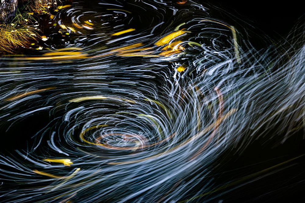 Eddy forms swirling patterns in the Nehalem River in autumn in the Tillamook State Forest-Oregon-USA art print by Chuck Haney for $57.95 CAD