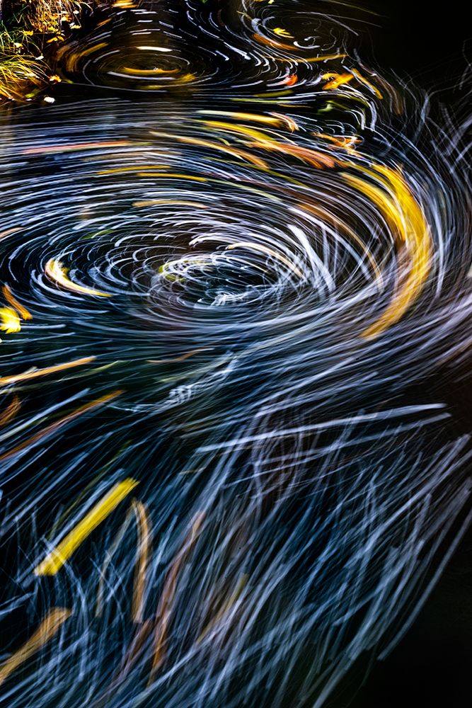 Eddy forms swirling patterns in the Nehalem River in autumn in the Tillamook State Forest-Oregon-USA art print by Chuck Haney for $57.95 CAD