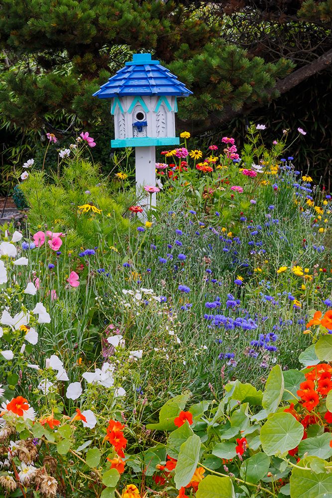 USA- Oregon. Cannon Beach and Cottage Garden with white birdhouse with blue roof art print by Darrell Gulin for $57.95 CAD