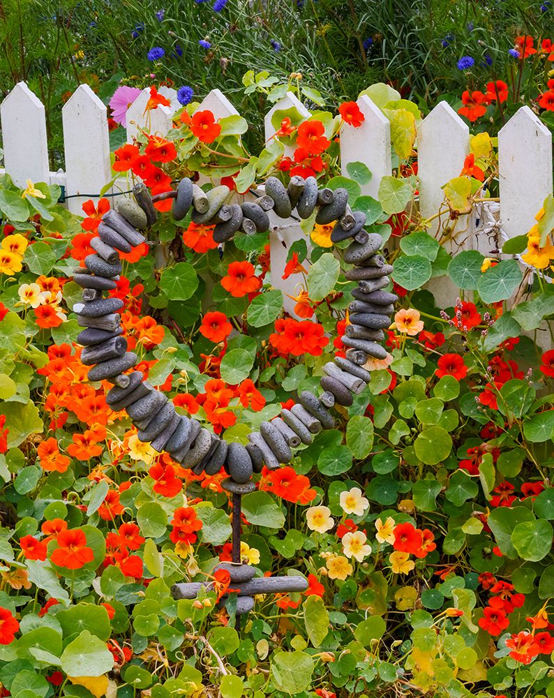 USA- Oregon. Cannon Beach and Cottage Garden with white picket fence and Nasturtiums art print by Darrell Gulin for $57.95 CAD