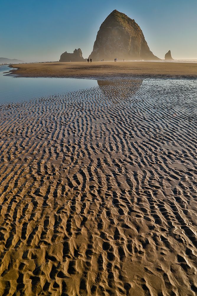 USA- Oregon. Cannon Beach with Haystack near sunset and low tide. art print by Darrell Gulin for $57.95 CAD