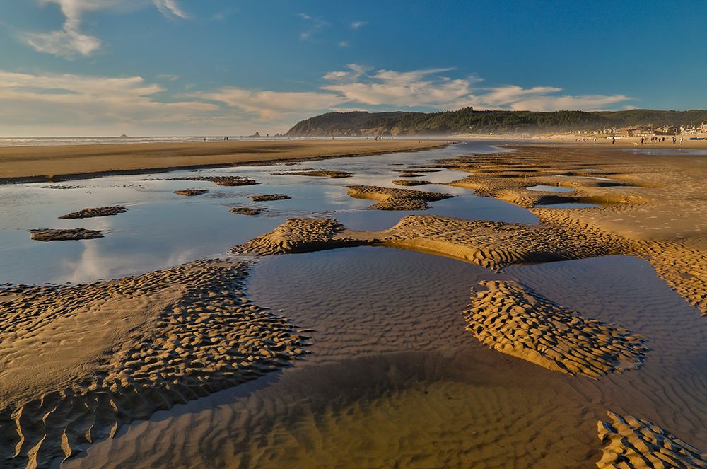 USA- Oregon. Cannon Beach low tide and ripples in the sand. art print by Darrell Gulin for $57.95 CAD