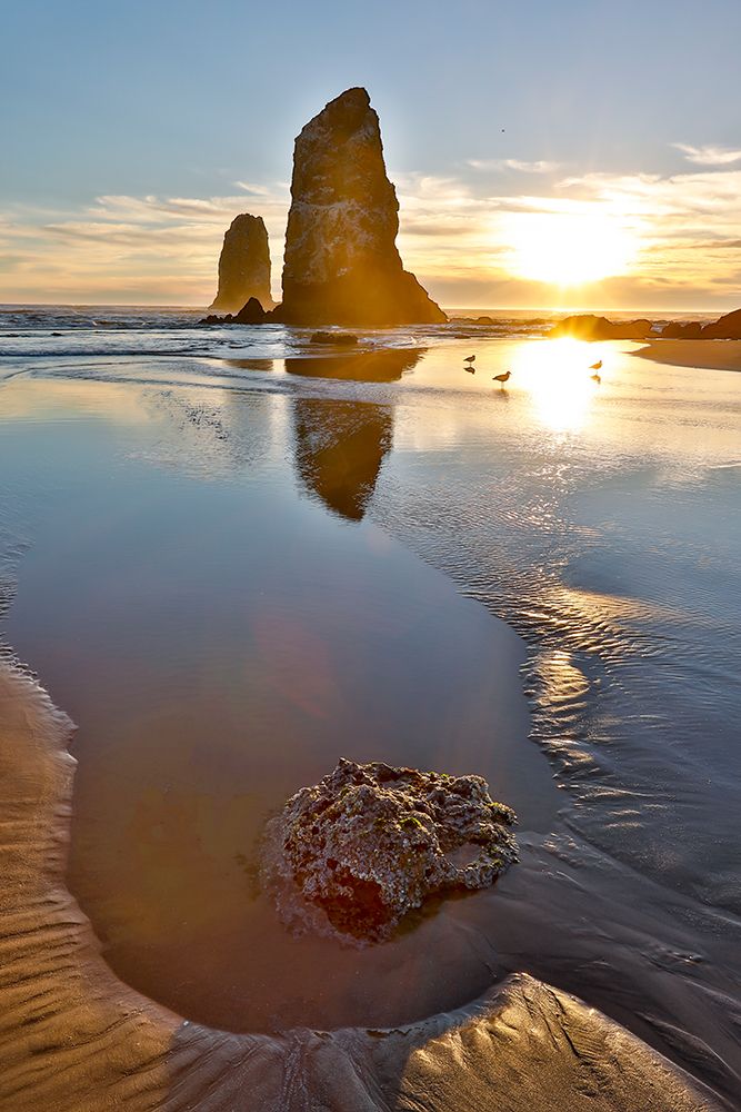 USA- Oregon. Cannon Beach low tide and ripples in the sand and sea stacks at sunset. art print by Darrell Gulin for $57.95 CAD