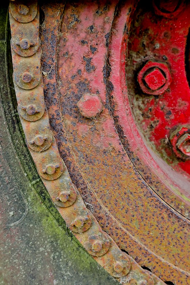 USA- Oregon- Tillamook. Close-up of old and rusted painted truck wheels art print by Darrell Gulin for $57.95 CAD