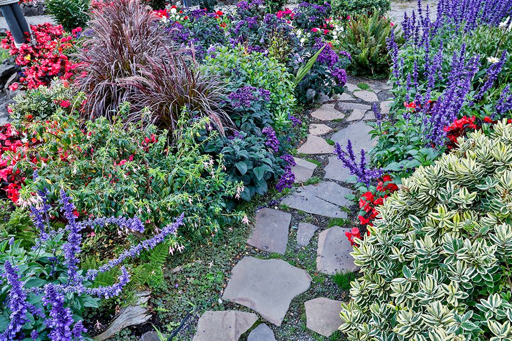 USA- Oregon. Cannon Beach Garden and path with Blue Salvia and reddish geraniums art print by Darrell Gulin for $57.95 CAD