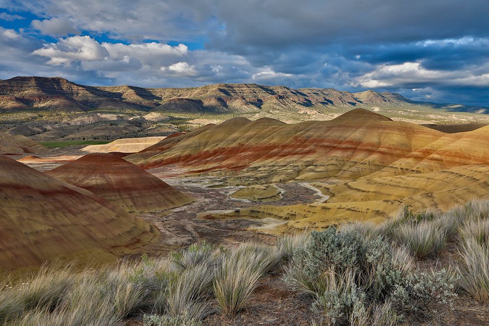USA- Oregon. John Day Fossil Beds National Monument badlands landscape. art print by Darrell Gulin for $57.95 CAD