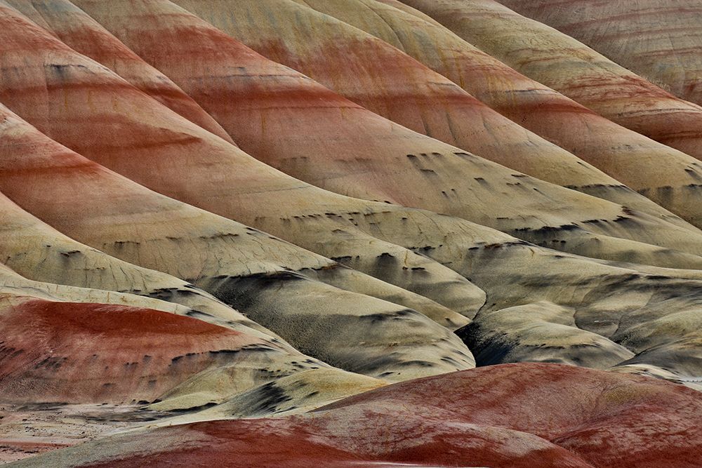 USA- Oregon. John Day Fossil Beds National Monument badlands landscape. art print by Darrell Gulin for $57.95 CAD