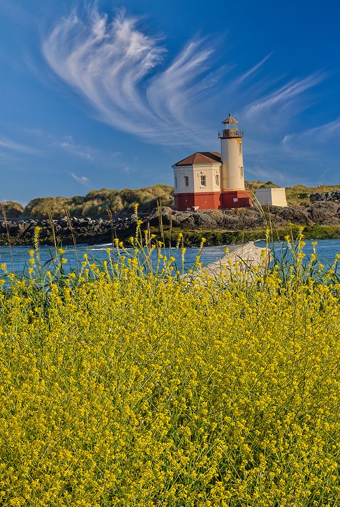 Oregon, Bandon. Coquille River Lighthouse along the Pacific Coast with foreground of wild mustard art print by Darrell Gulin for $57.95 CAD