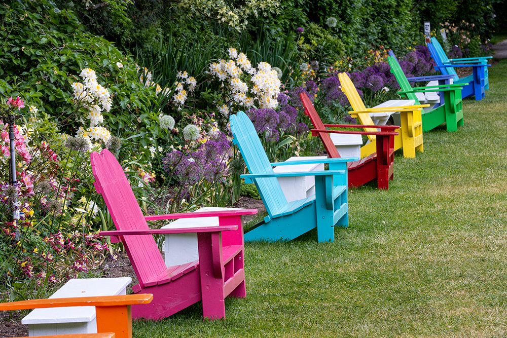 Oregon. Garden in full bloom with row of colorful chairs amongst bearded iris and Russell lupine. art print by Darrell Gulin for $57.95 CAD