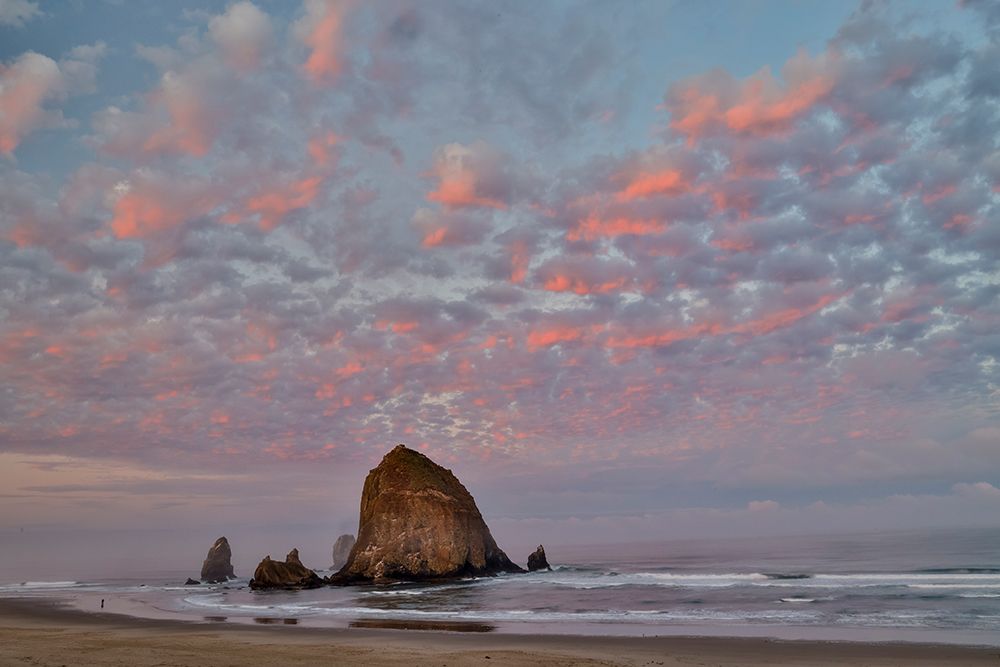 Cannon Beach and Haystack Rock evening light art print by Darrell Gulin for $57.95 CAD