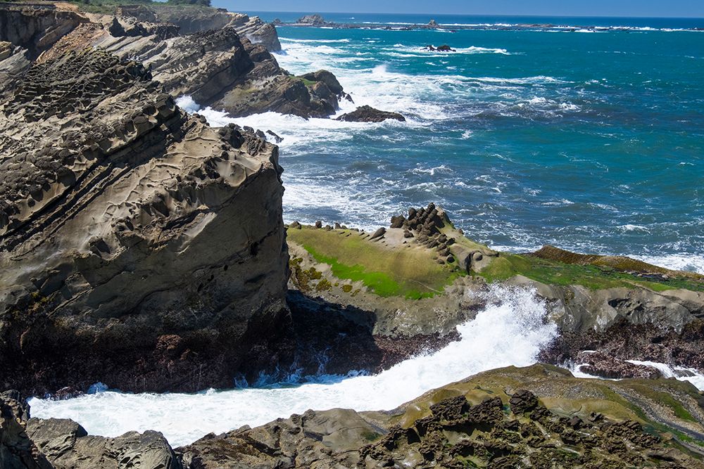 Cape Arago State Park, Coos County, Oregon, USA. Pacific Ocean meets rocks on the rugged coastline. art print by Emily M. Wilson for $57.95 CAD