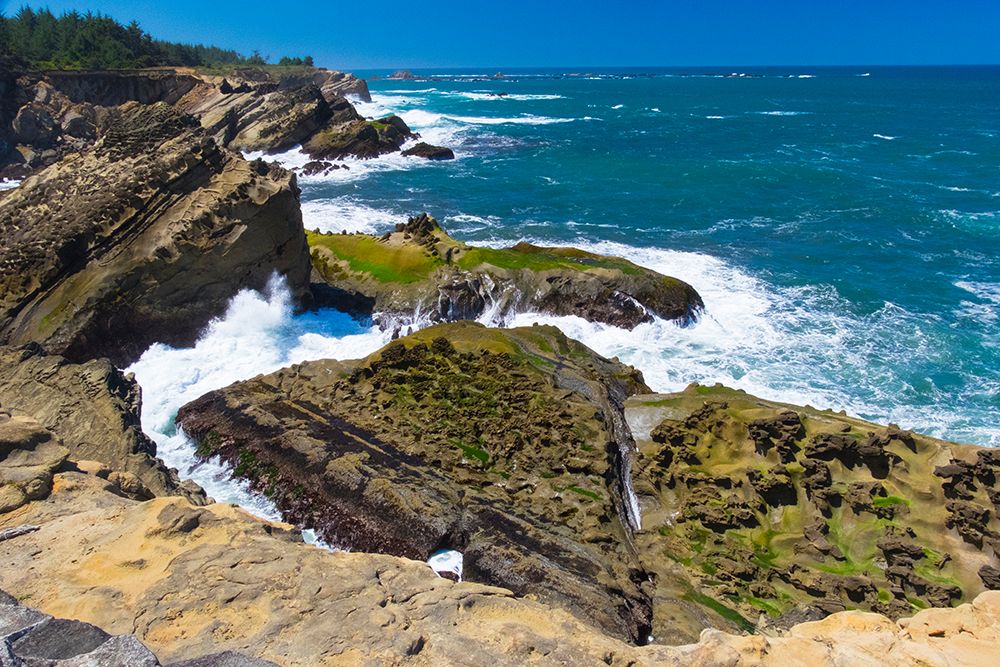 Cape Arago State Park, Coos County, Oregon, USA. Pacific Ocean meets rocks on the rugged coastline. art print by Emily M. Wilson for $57.95 CAD