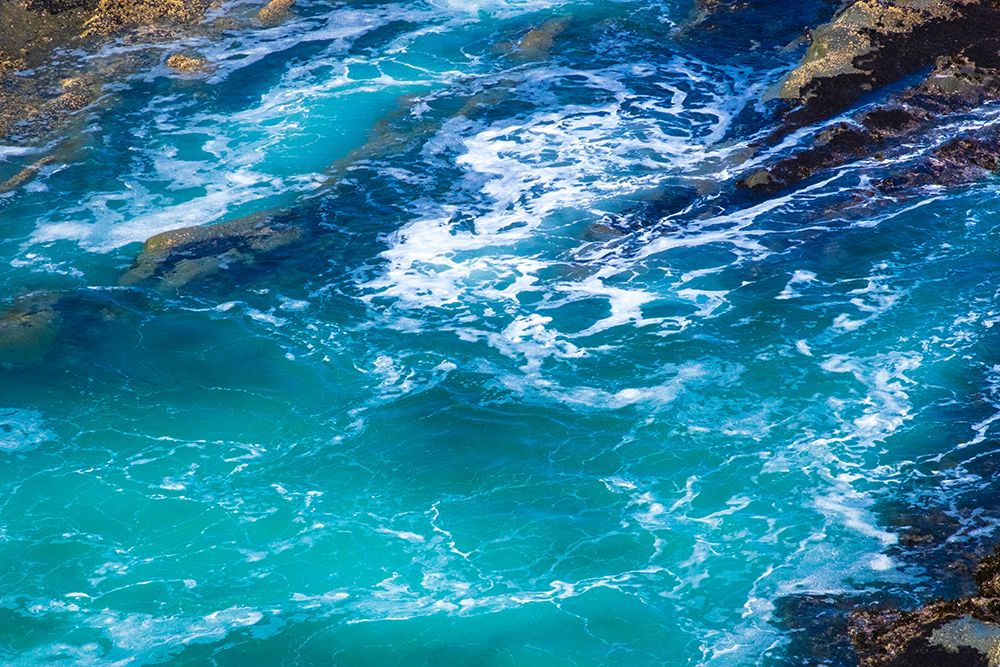 Cape Arago State Park, Coos County, Oregon, USA. Pacific Ocean meets rocks on the rugged coastline. art print by Emily M. Wilson for $57.95 CAD