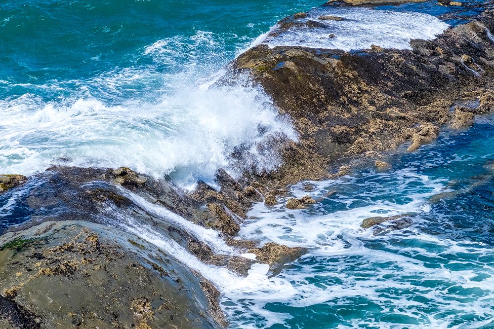 Cape Arago State Park, Coos County, Oregon, USA. Pacific Ocean wave breaking on rocks. art print by Emily M. Wilson for $57.95 CAD