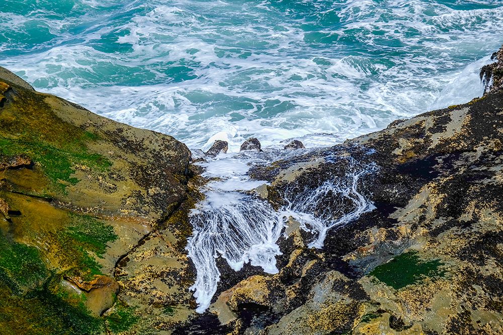 Cape Arago State Park, Coos County, Oregon, USA. Pacific Ocean meets rocks on the rugged coastline. art print by Emily M. Wilson for $57.95 CAD