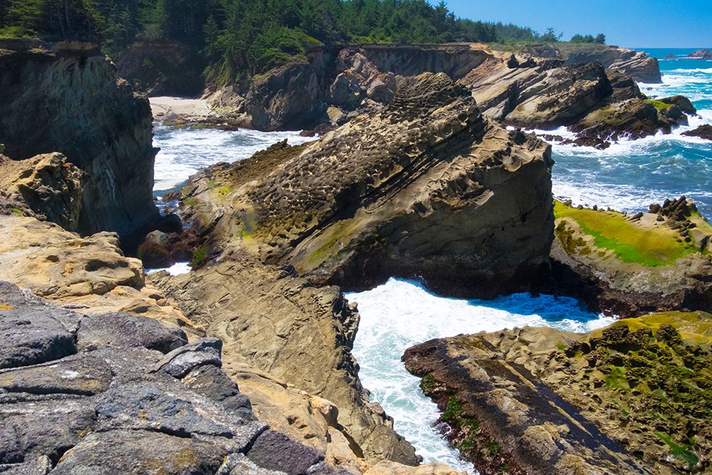 Cape Arago State Park, Coos County, Oregon, USA. Pacific Ocean meets rocks on the rugged coastline. art print by Emily M. Wilson for $57.95 CAD