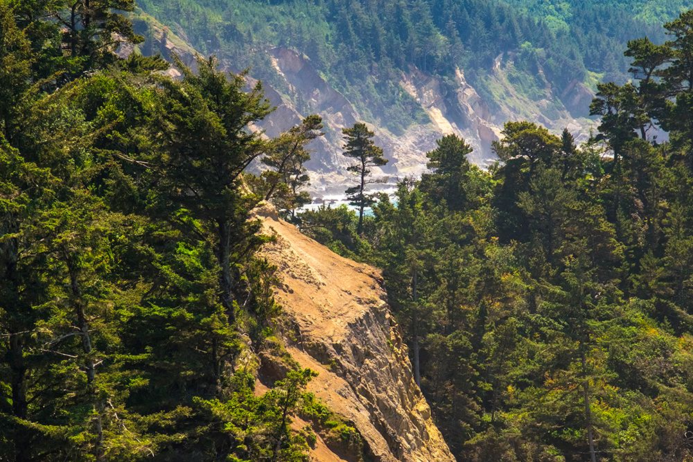 Cape Arago State Park, Coos County, Oregon, USA. art print by Emily M. Wilson for $57.95 CAD