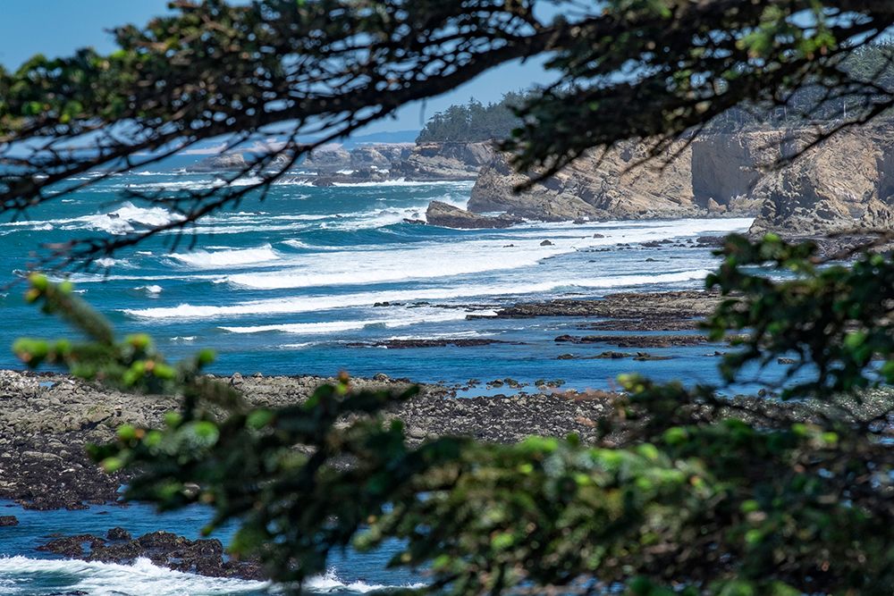 Cape Arago State Park, Coos County, Oregon, USA. Pacific Ocean meets rocks on the rugged coastline. art print by Emily M. Wilson for $57.95 CAD