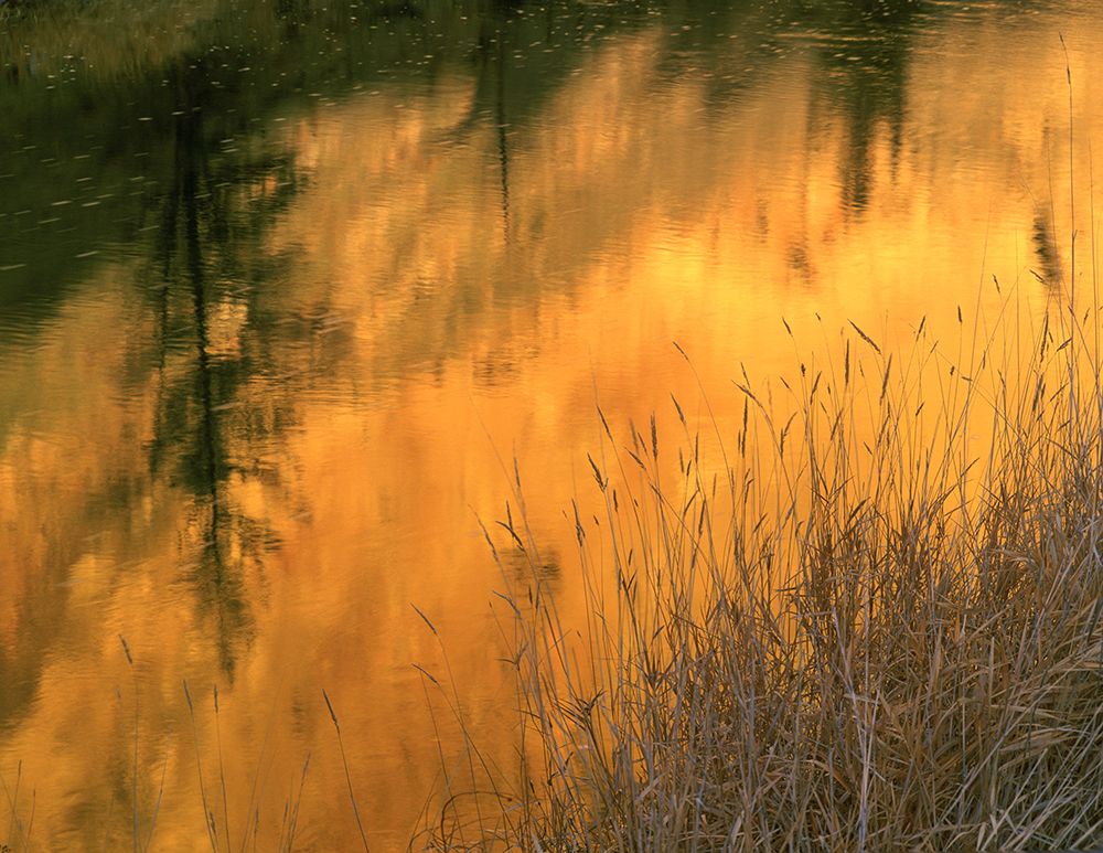 USA-Oregon-Abstract of Crooked River-Smith Rock State Park art print by Howie Garber for $57.95 CAD