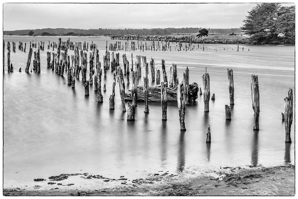 Usa-Oregon-Bandon Bandon Pier-Long Exposure art print by Hollice Looney for $57.95 CAD