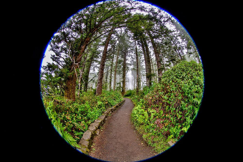 Usa-Oregon-Yachats Cape Perpetua art print by Hollice Looney for $57.95 CAD