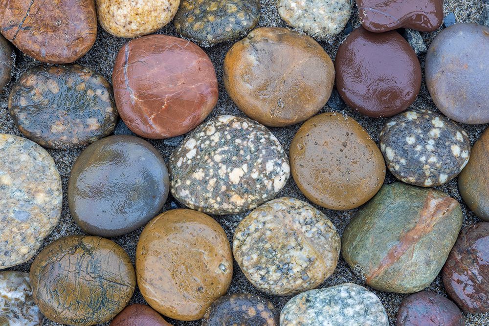 Usa-Oregon-Bandon Bandon Beach-Closeup of Rocks Gathered on the Beach art print by Hollice Looney for $57.95 CAD