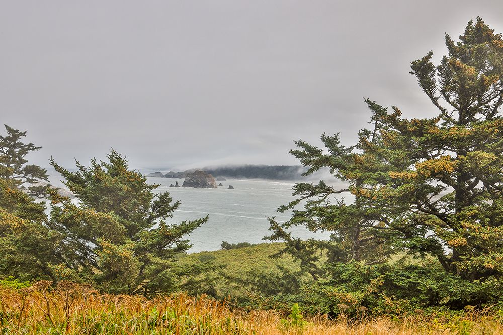 Usa-Oregon-Port Orford Cape Blanco Lighthouse-Coast Near Cape Blanco Lighthouse art print by Hollice Looney for $57.95 CAD