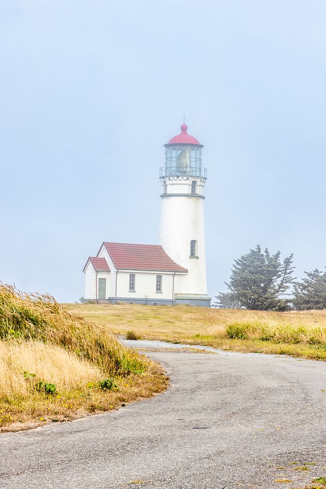 Usa-Oregon-Port Orford Cape Blanco Lighthouse on a Foggy Morning art print by Hollice Looney for $57.95 CAD