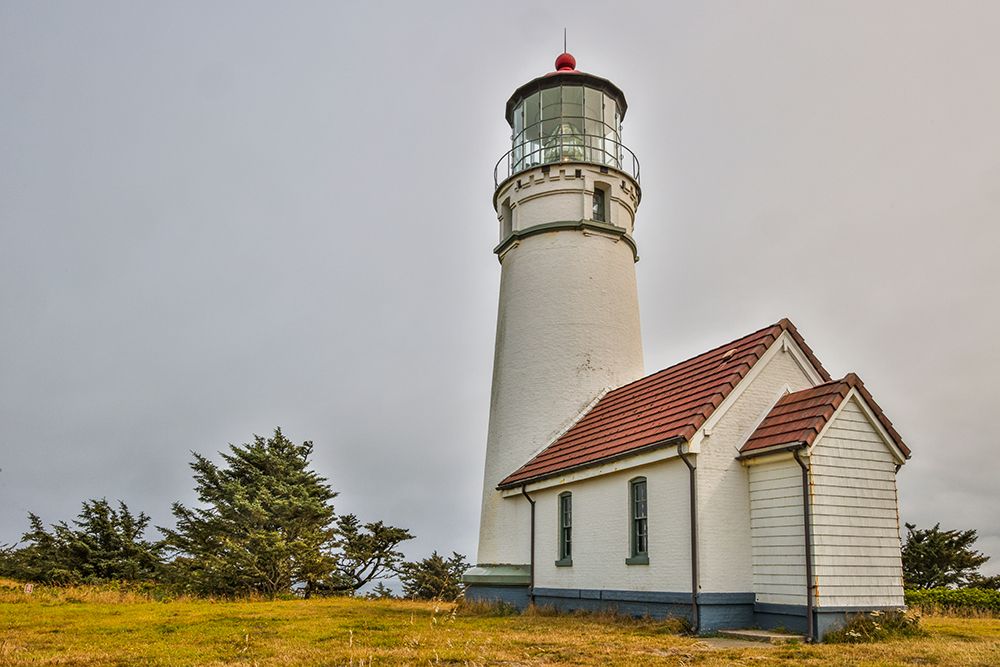 Usa-Oregon-Port Orford Cape Blanco Lighthouse on a Foggy Morning art print by Hollice Looney for $57.95 CAD
