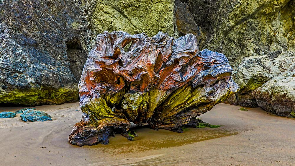 USA-Oregon-Bandon-Beach art print by Joe III Restuccia for $57.95 CAD