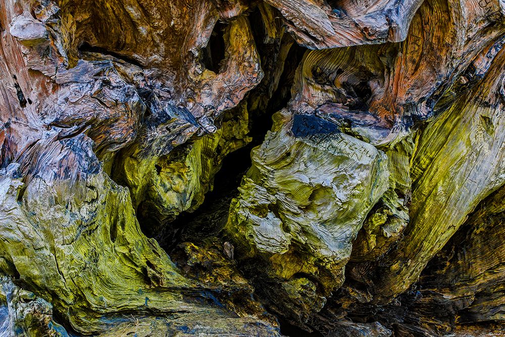 USA-Oregon-Bandon-Beach art print by Joe III Restuccia for $57.95 CAD