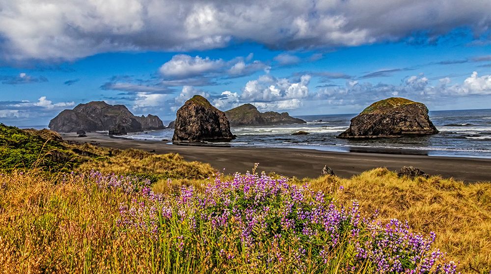 USA-Oregon-Cape Sebastian art print by Joe III Restuccia for $57.95 CAD