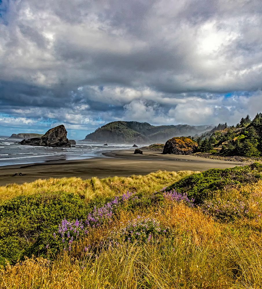 USA-Oregon-Cape Sebastian art print by Joe III Restuccia for $57.95 CAD
