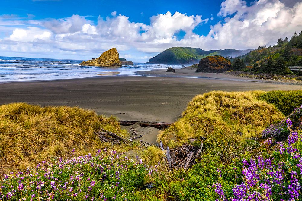 USA-Oregon-Cape Sebastian art print by Joe III Restuccia for $57.95 CAD