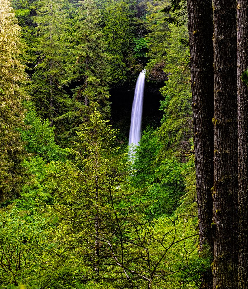 USA-Oregon-Silver Falls State Park-North Falls art print by Joe III Restuccia for $57.95 CAD
