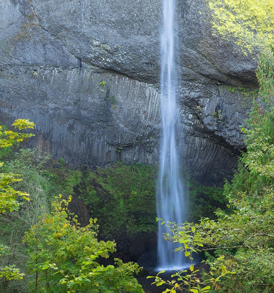 OR-Columbia River Gorge National Scenic Area-Latourell Falls art print by Jamie and Judy Wild for $57.95 CAD