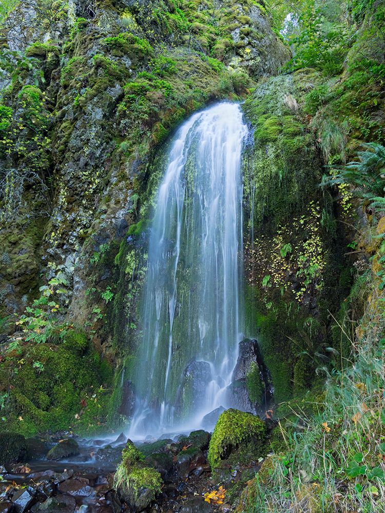 Oregon-Columbia River Gorge National Scenic Area-Lancaster Falls art print by Jamie and Judy Wild for $57.95 CAD