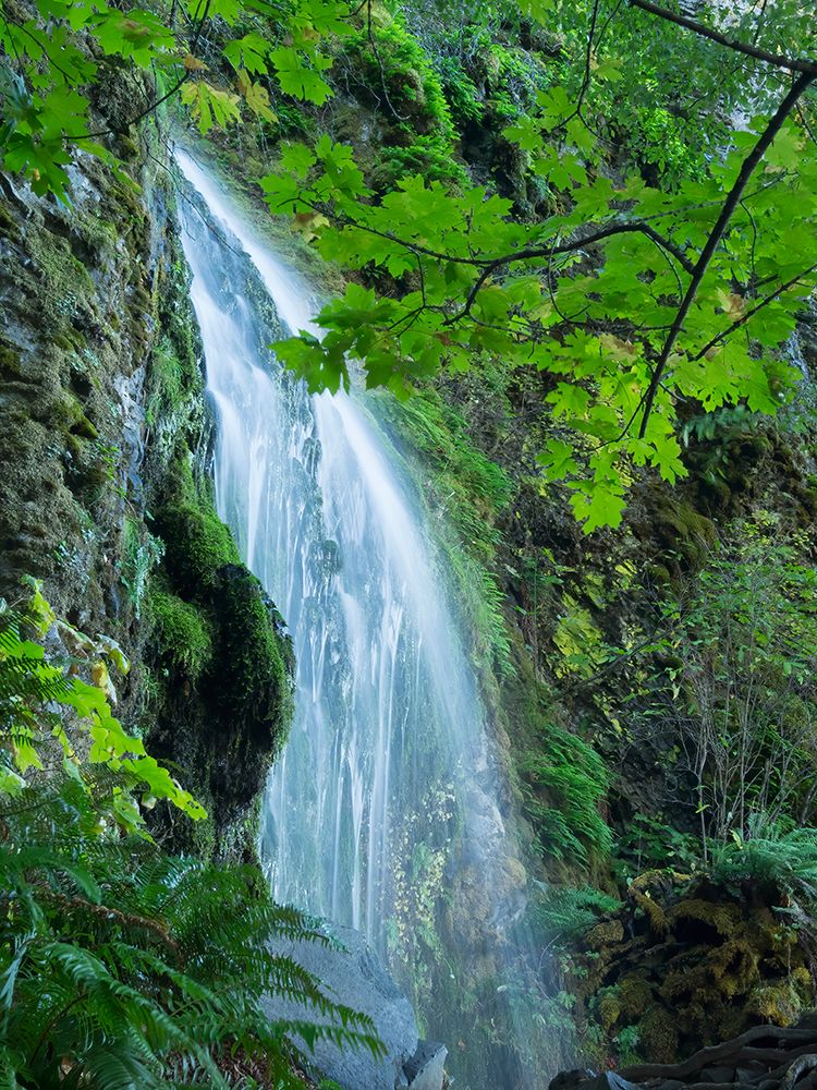 Oregon-Columbia River Gorge National Scenic Area-Lancaster Falls art print by Jamie and Judy Wild for $57.95 CAD