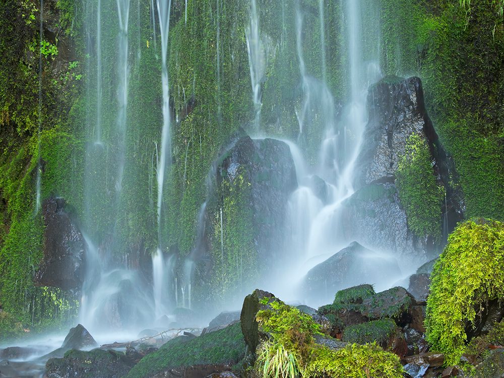 Oregon-Columbia River Gorge National Scenic Area-Lancaster Falls art print by Jamie and Judy Wild for $57.95 CAD