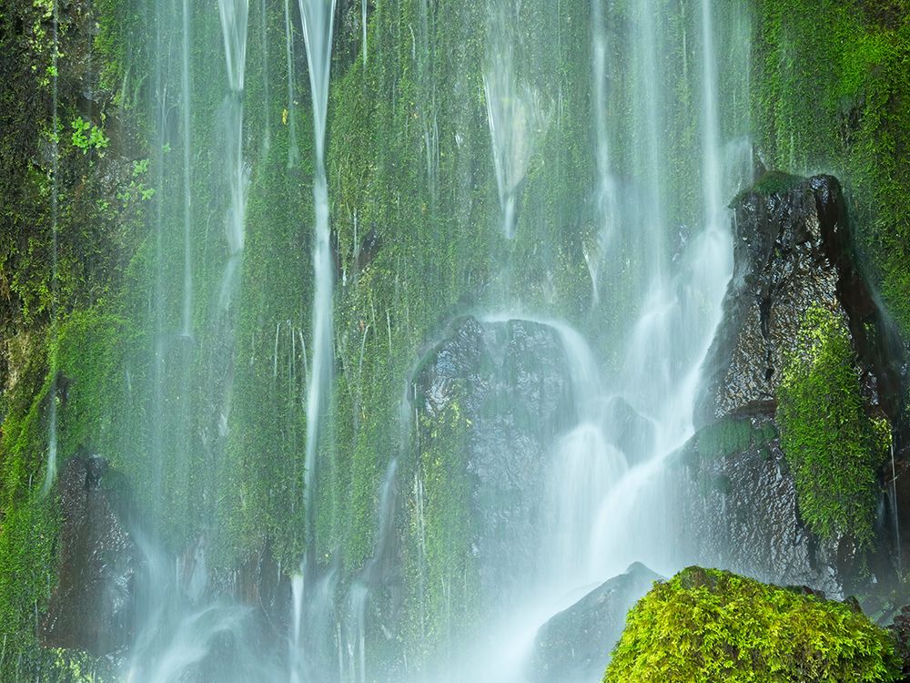 Oregon-Columbia River Gorge National Scenic Area-Lancaster Falls art print by Jamie and Judy Wild for $57.95 CAD