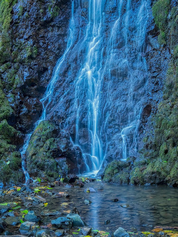 Oregon-Columbia River Gorge National Scenic Area-Cabin Creek Falls art print by Jamie and Judy Wild for $57.95 CAD