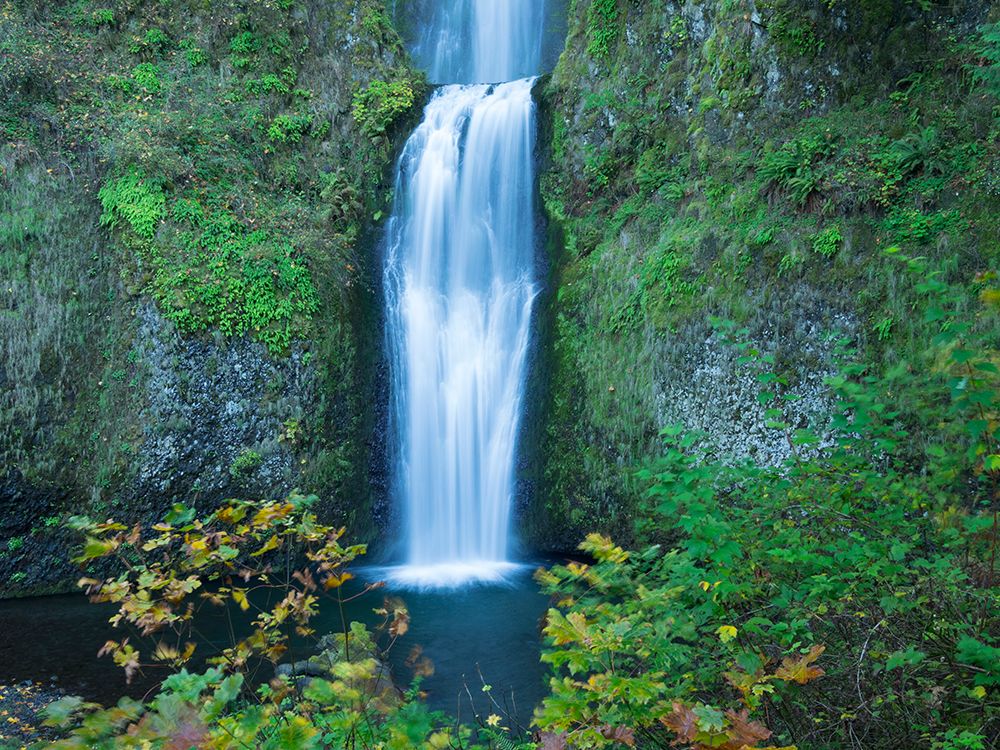 Oregon-Columbia River Gorge National Scenic Area-Multnomah Falls-lower art print by Jamie and Judy Wild for $57.95 CAD