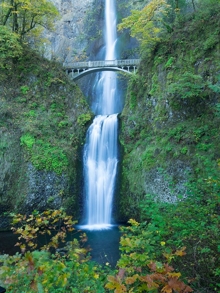 Oregon-Columbia River Gorge National Scenic Area-Multnomah Falls art print by Jamie and Judy Wild for $57.95 CAD