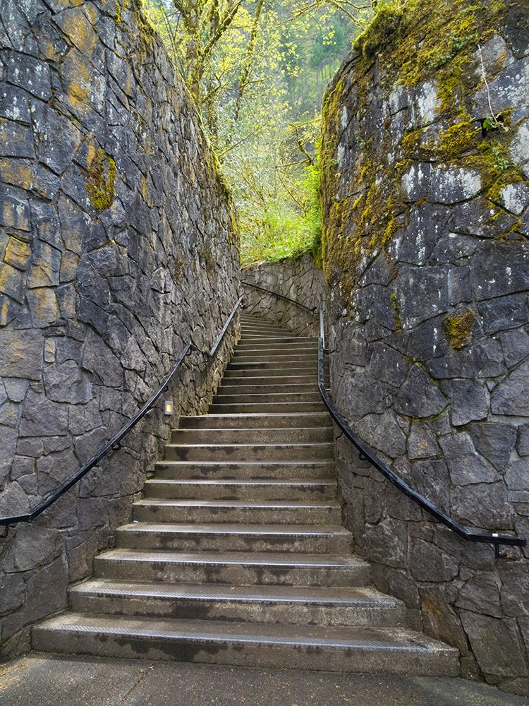 Oregon, USA. Columbia River Gorge National Scenic Area, stairway . art print by Jamie and Judy Wild for $57.95 CAD