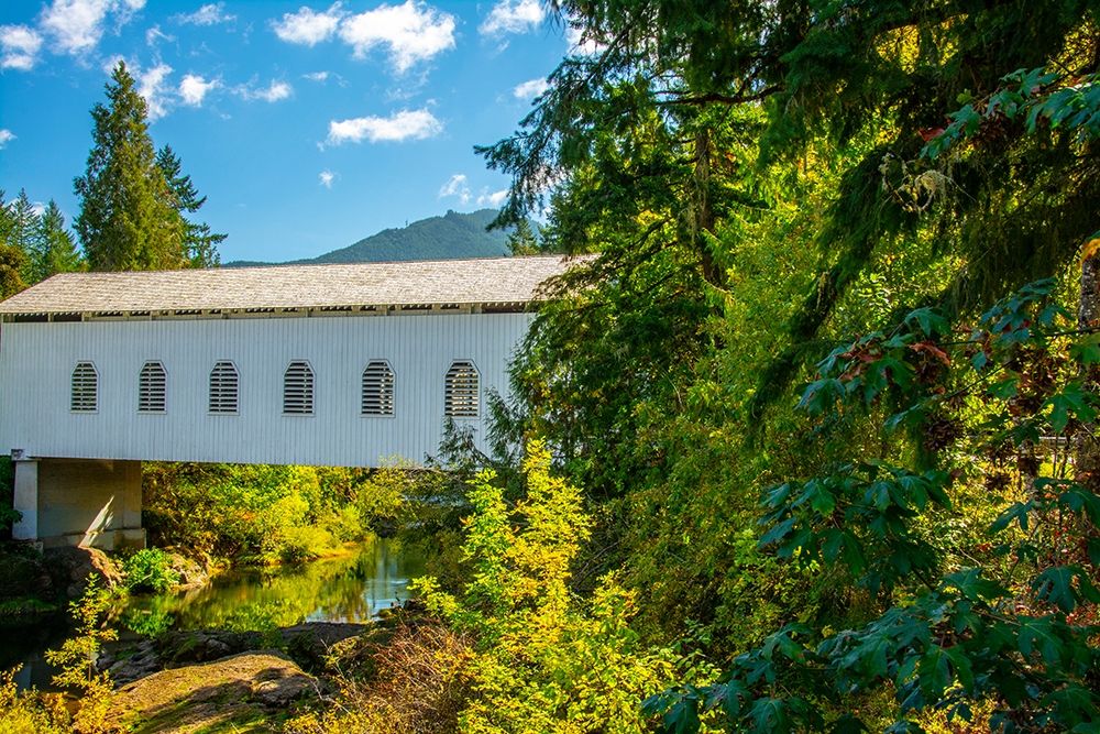 Dorena Bridge-Cottage Grove-Oregon-USA art print by Michel Hersen for $57.95 CAD