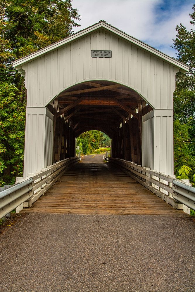 Mosby Creek Bridge-Cottage Grove-Oregon-USA art print by Michel Hersen for $57.95 CAD