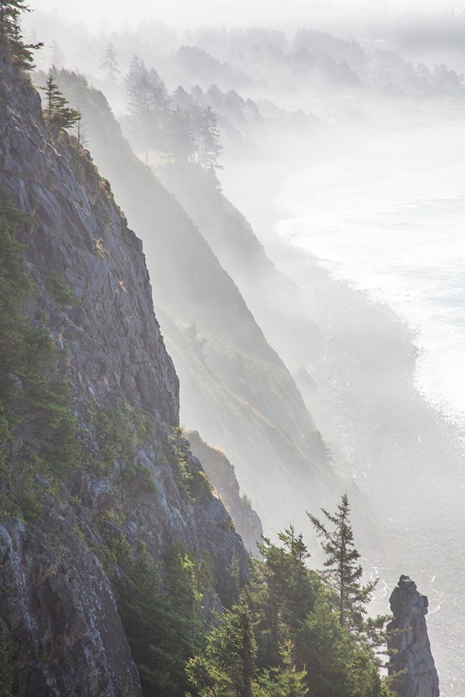 Oregon-Oswald West State Park and cliff bluffs looking towards Manzanita with lifting fog art print by Sylvia Gulin for $57.95 CAD