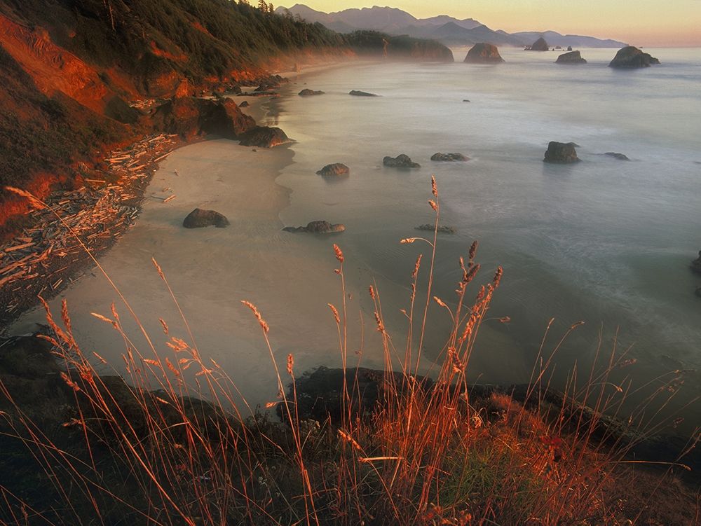 Cannon beach on the Pacific coast of Oregon art print by Steve Mohlenkamp for $57.95 CAD
