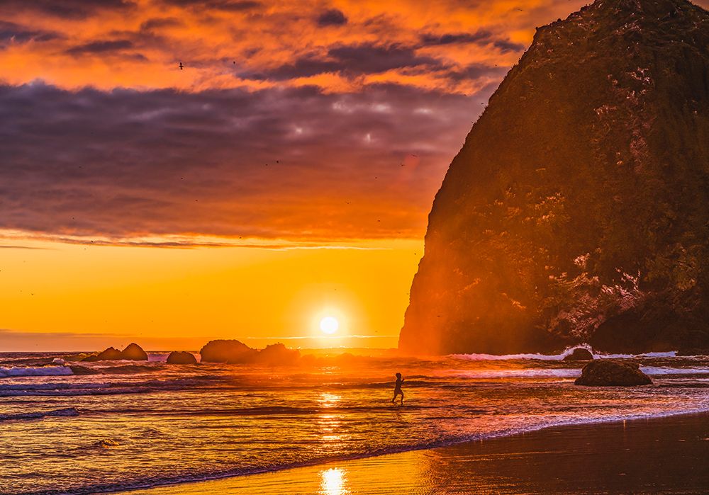 Playing birds colorful sunset-Haystack Rock-Canon Beach-Clatsop County-Oregon-Originally discovered art print by William Perry for $57.95 CAD